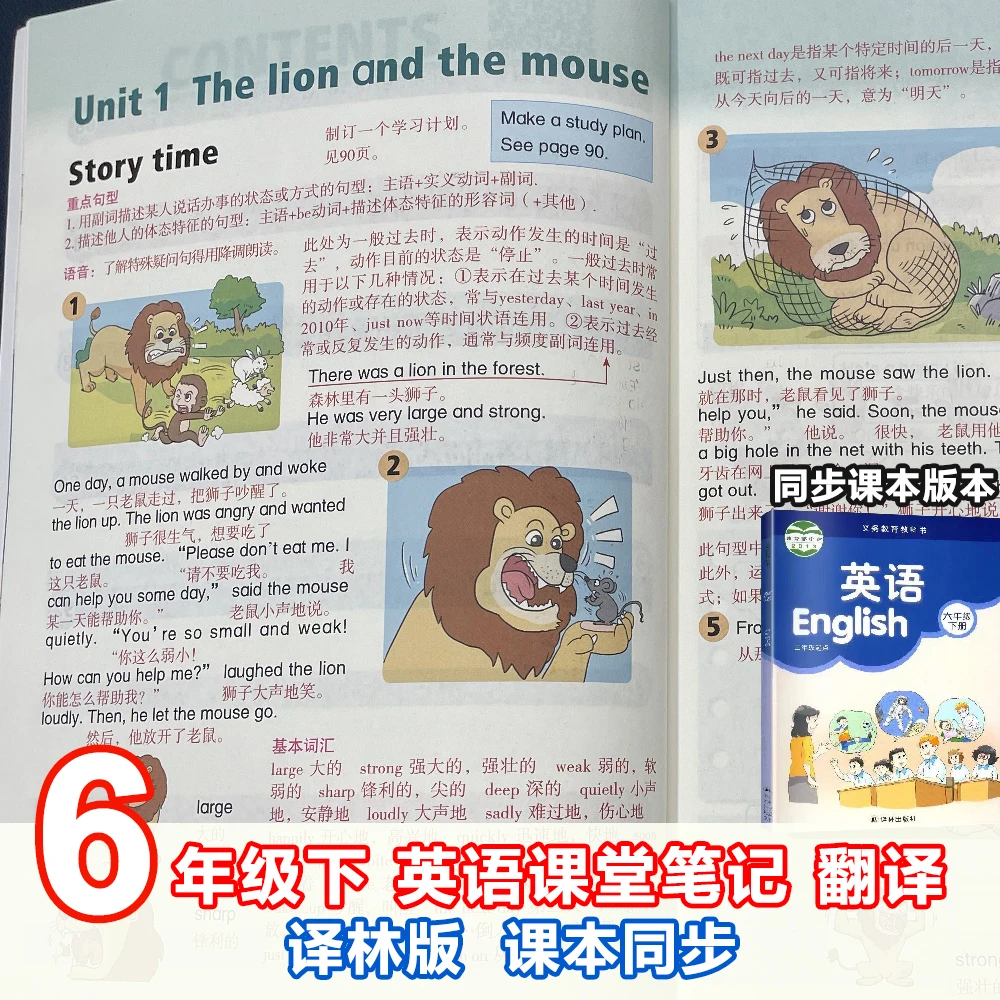 【译林版】英语课堂笔记6六年级下册英语译林版同步课本原文翻译XY