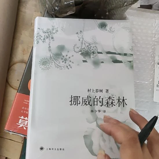 闪购闪购。挪威的森林8