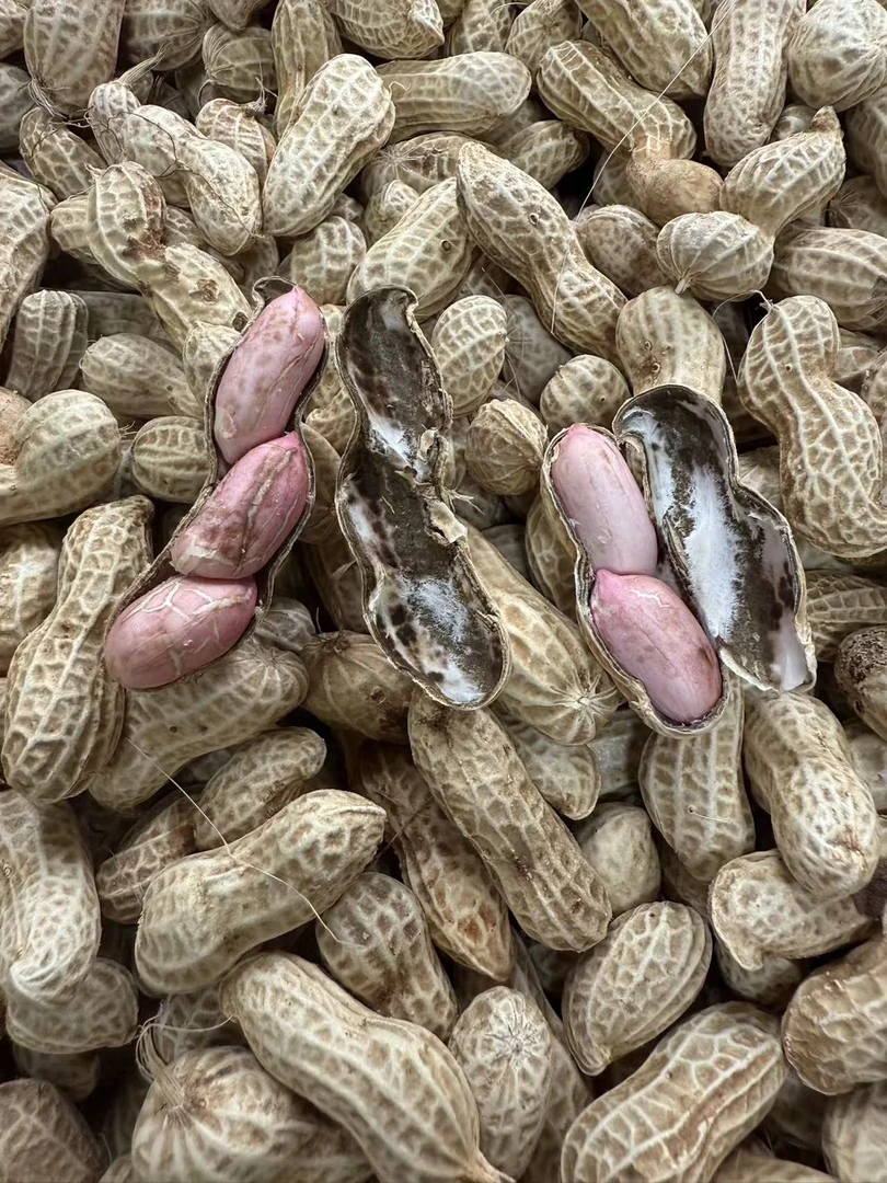 农家自种粉皮花生营养健康