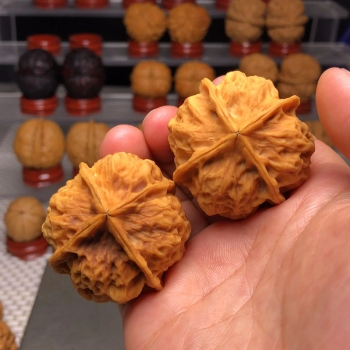 文玩核桃把件19凤凰牡丹