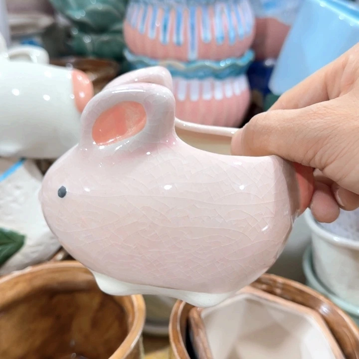 不清楚问客服凑9块包邮