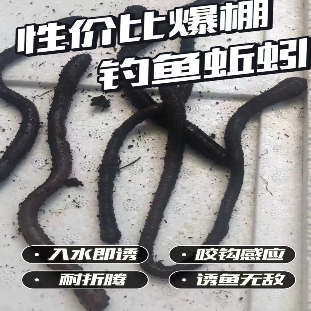 广西中小号黑蚯蚓广地龙腥味足活力强可钓黄鳝罗非鱼等