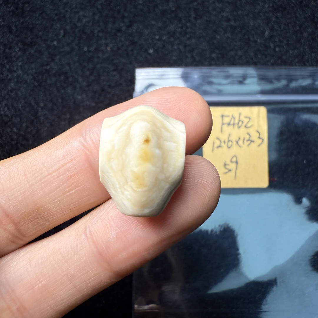 F462猛犸象牙对孔12.6*13.3mm鲨鱼背三通奶咖果冻料