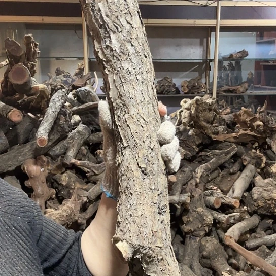 香榧木二**说火琉璃的故事是毛料摆件