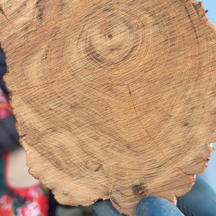 柏木（崖柏）太行崖柏陈化香料