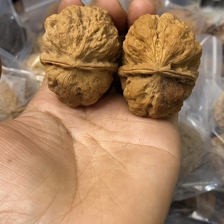 核桃云南铁核桃基地17