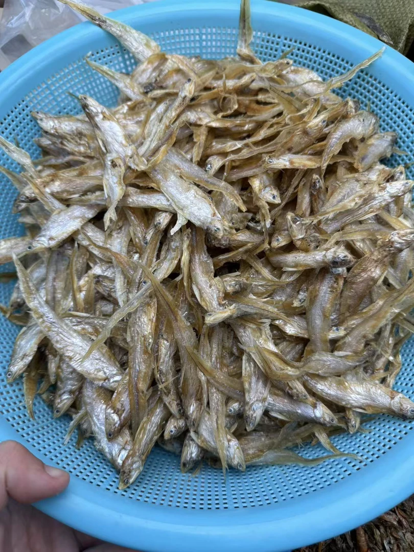 苏北特产毛刀鱼淡水小鱼批发凤尾鱼毛鱼海鲜农家干货自晒无盐