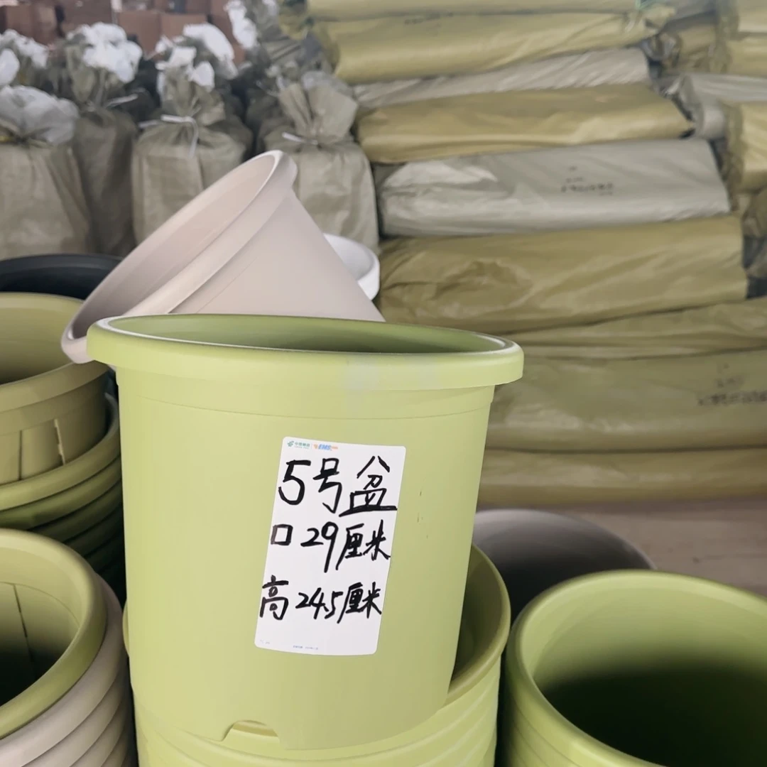 塑料四季5号果绿3个带拖