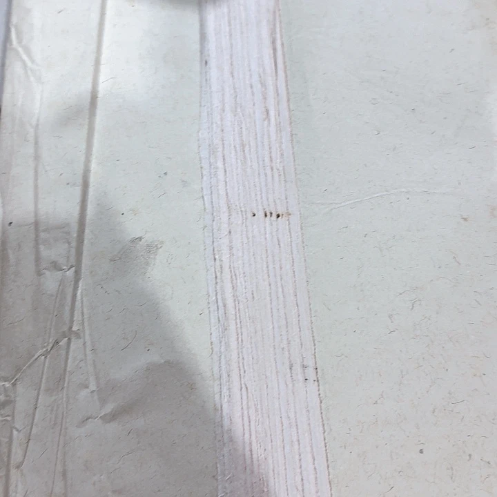 随**安九十年代捞匹纸一刀