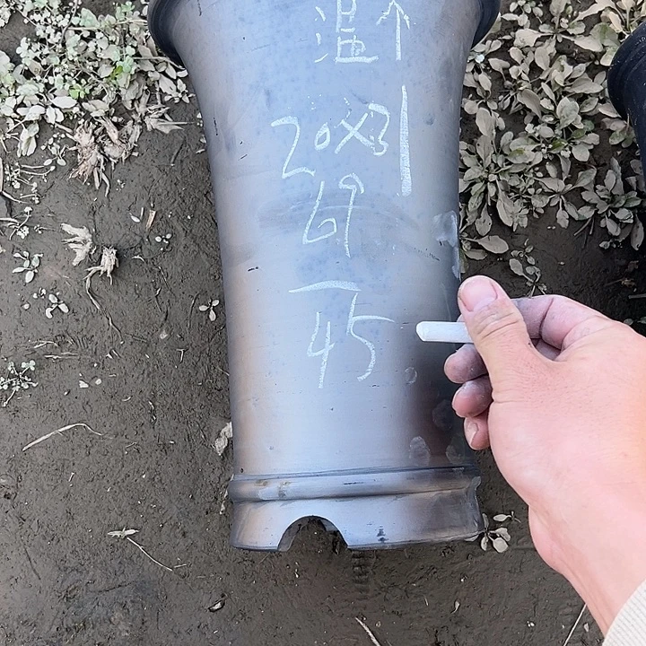 瑕疵大七寸口径20高31