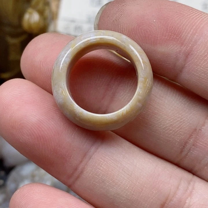 颈饰未镶嵌硅化珊瑚（珊瑚玉）另**蓝