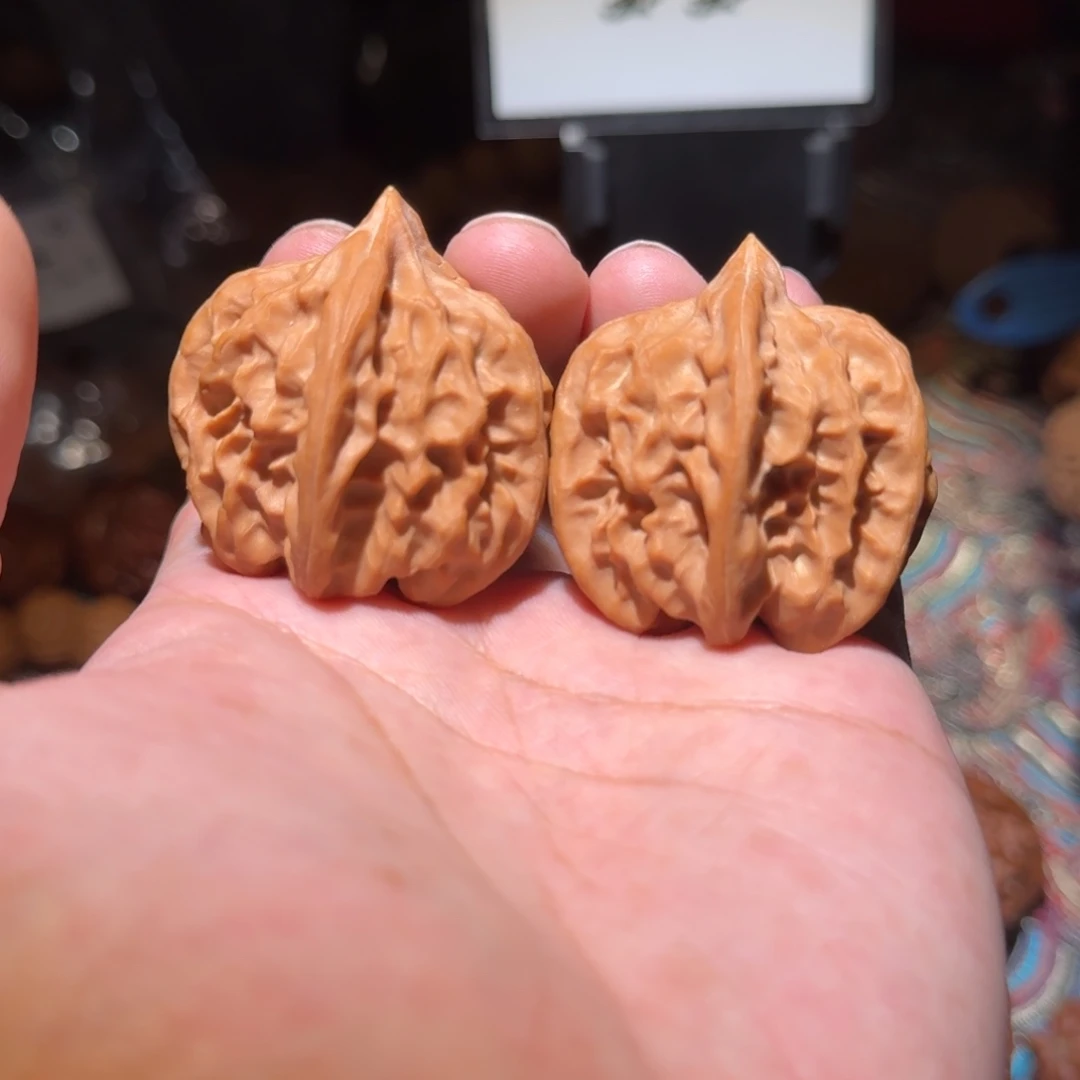 把件核桃1111大龙，尺寸37