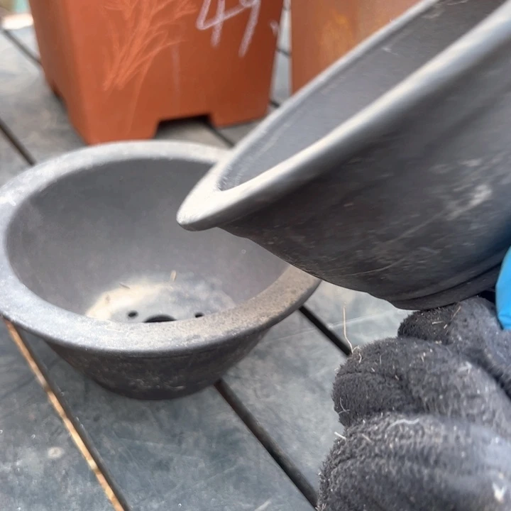红陶紫砂碗盆口11