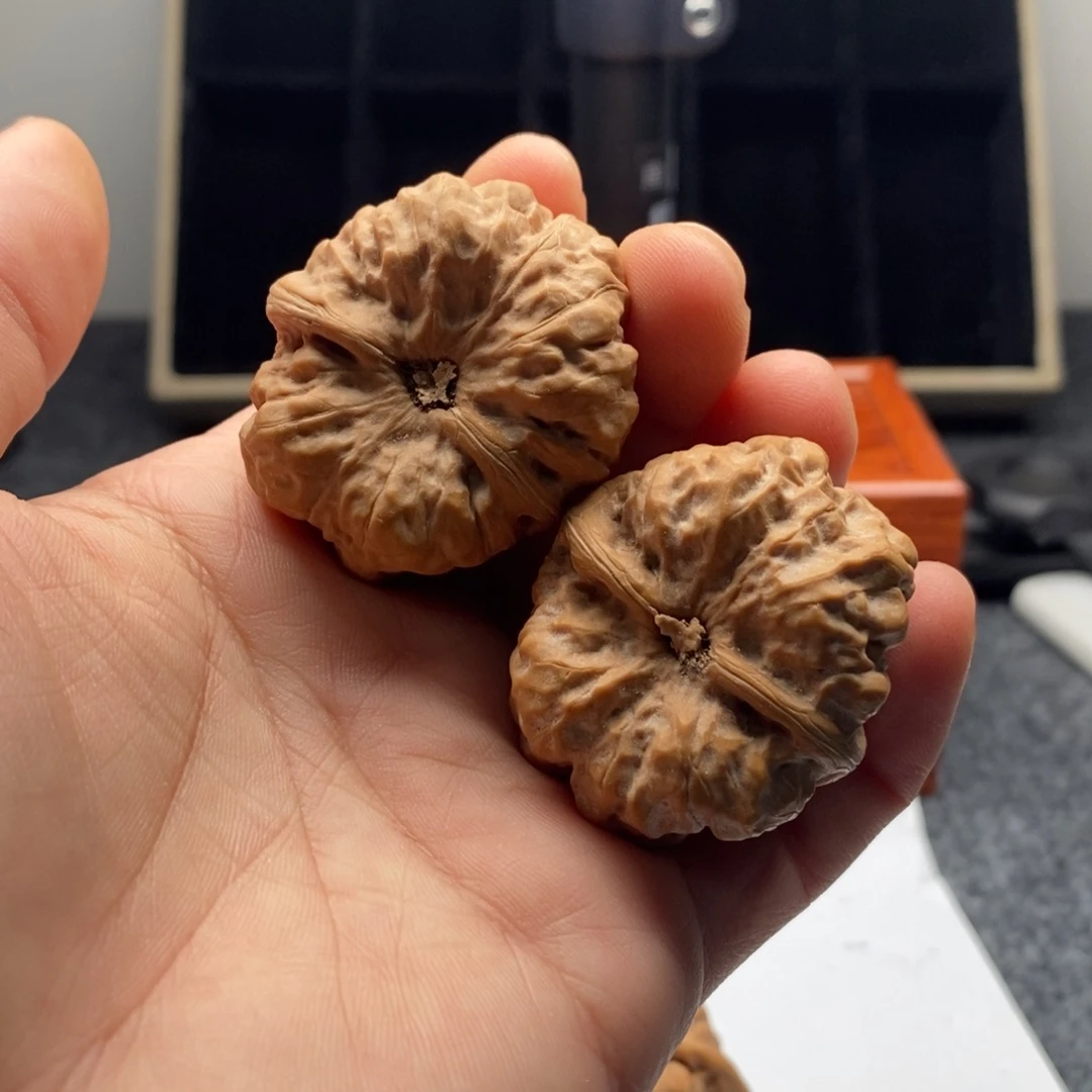 不***啥家住了一个人在一起