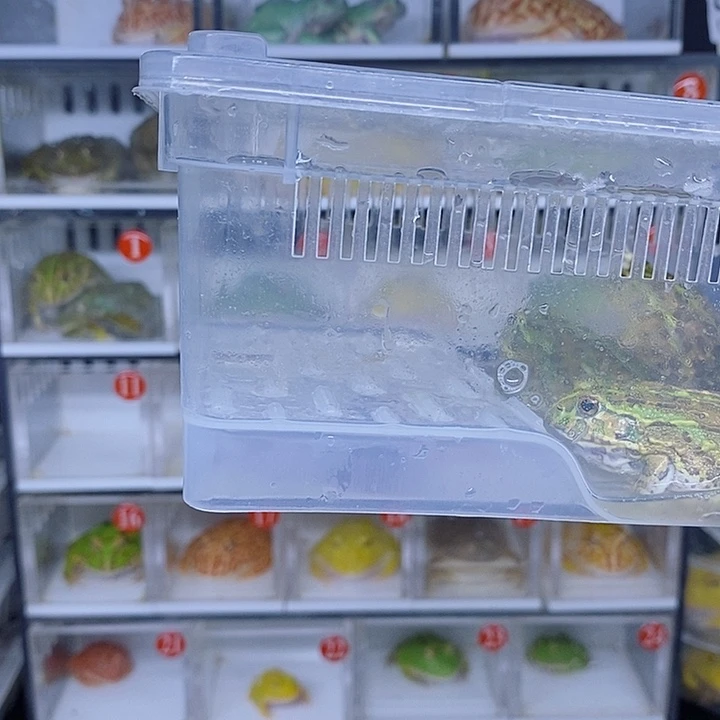 特价秒杀现货白银