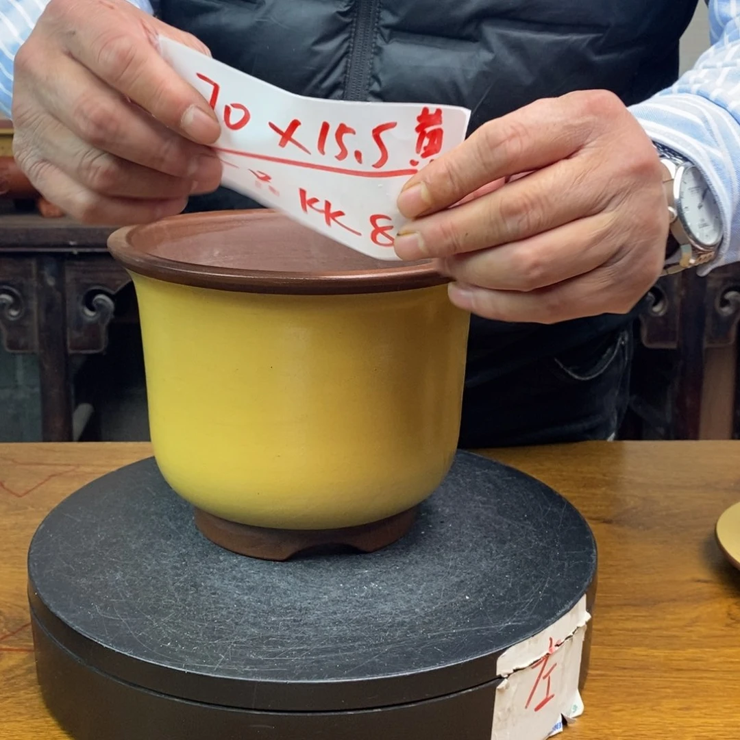 紫砂货号一只KK8黄