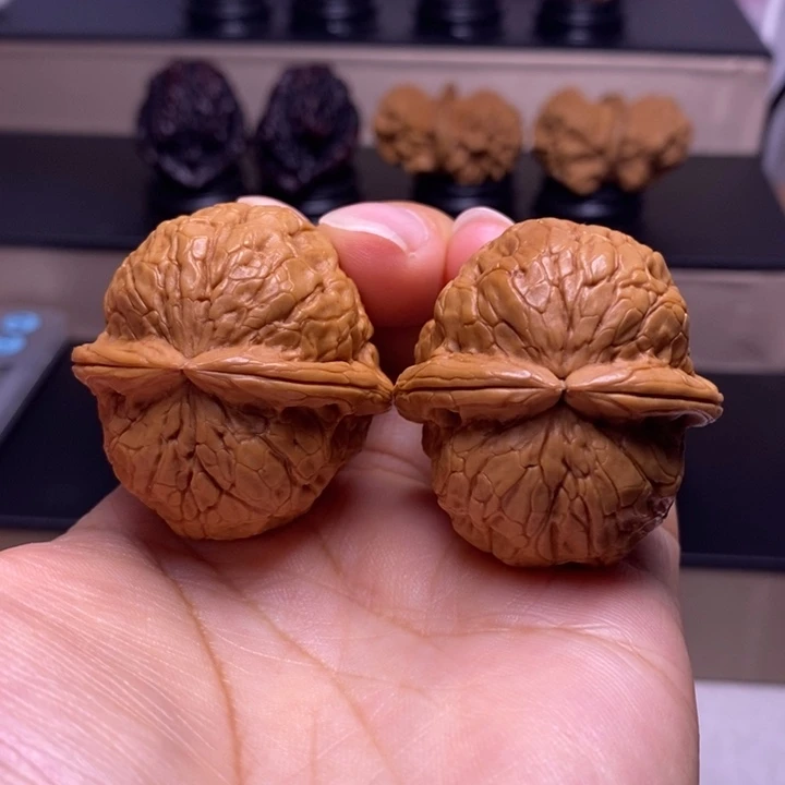 文玩核桃把件金龟玉甲23