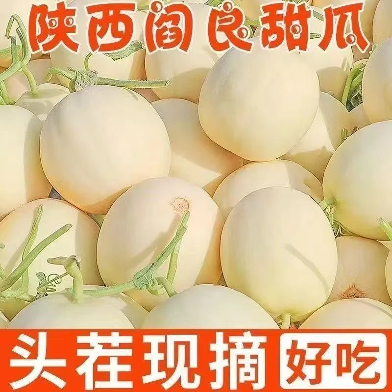 陕西阎良甜瓜带箱3斤装新鲜甜瓜蜜瓜香瓜绿肉清甜可口当季水果HR