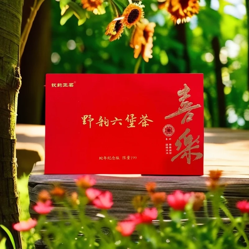 【和天九云仓供应链】A钦韵正茗 野韵六堡茶