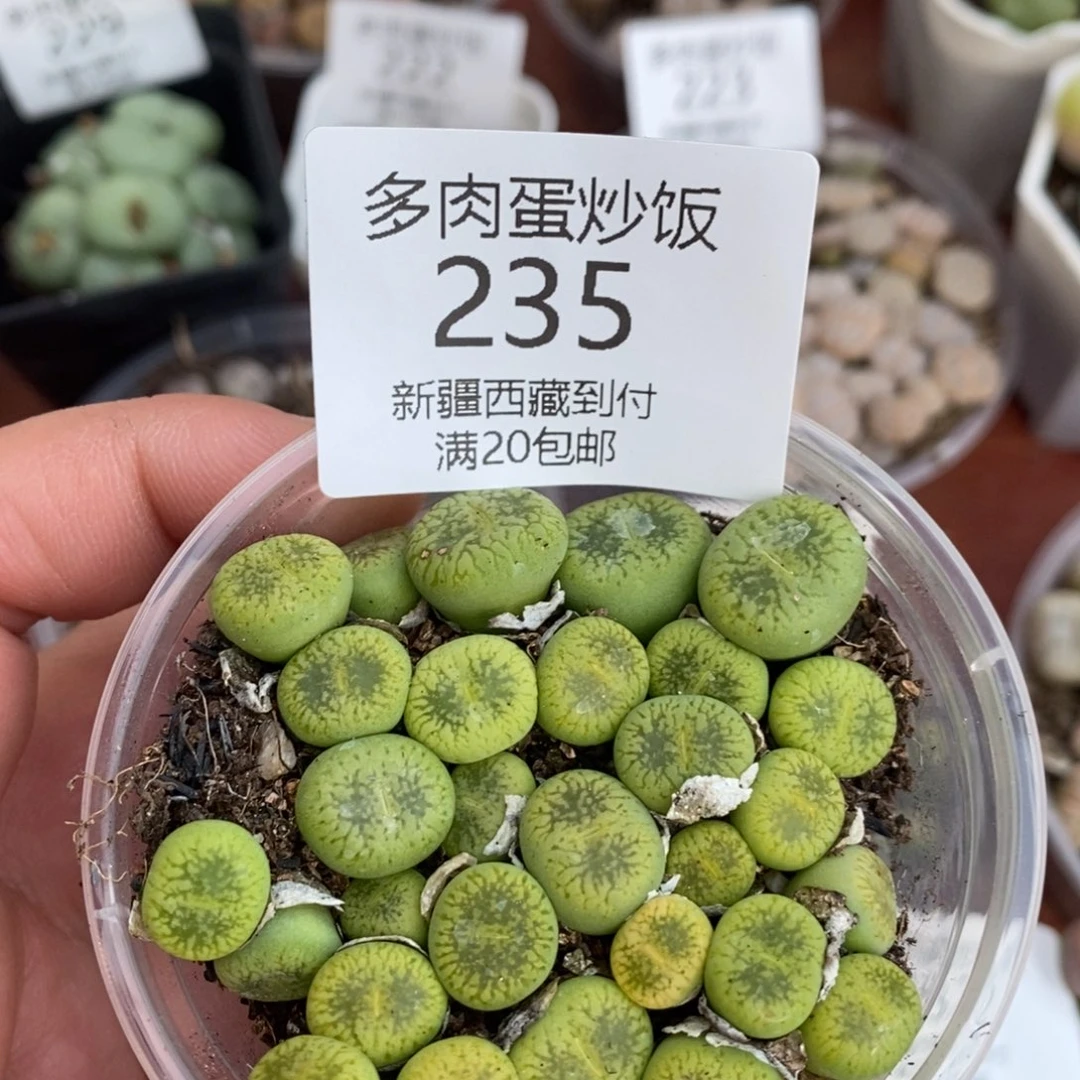 感谢您的支持，00235