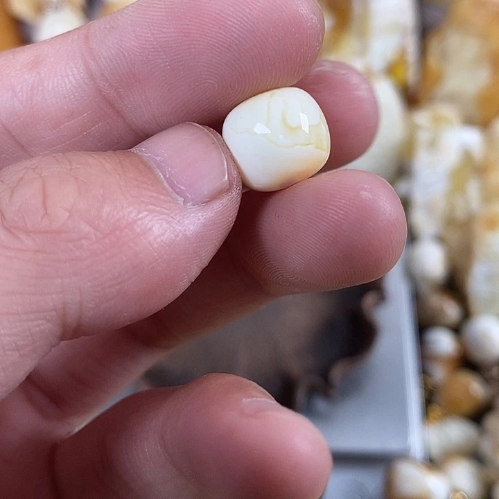 琥珀未镶嵌裸石我