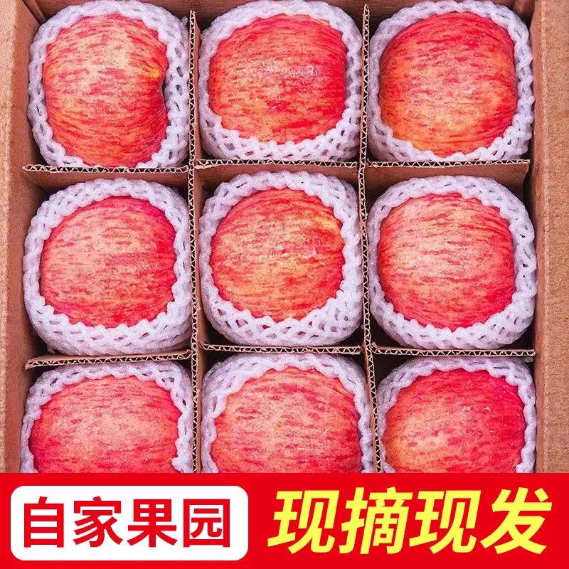 【实惠装】现摘2024新果陕西红富士苹果脆甜多汁整箱包邮