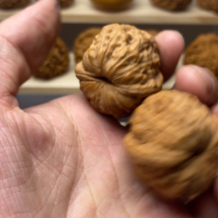 把件核桃3*37尺全品元宝