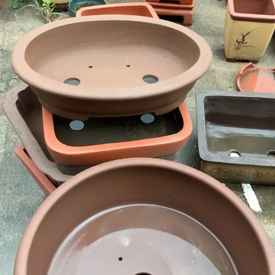 紫砂花盆紫砂艺术