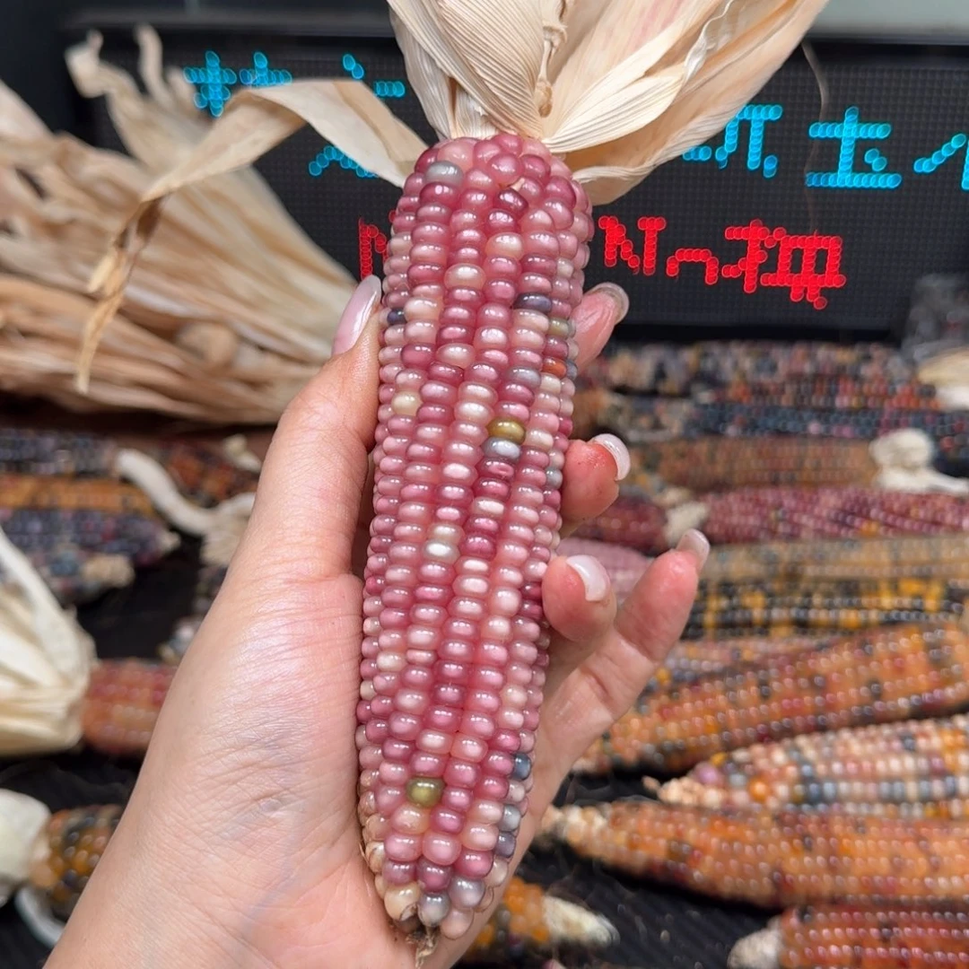 柏香籽/百香籽吊坠小*阳
