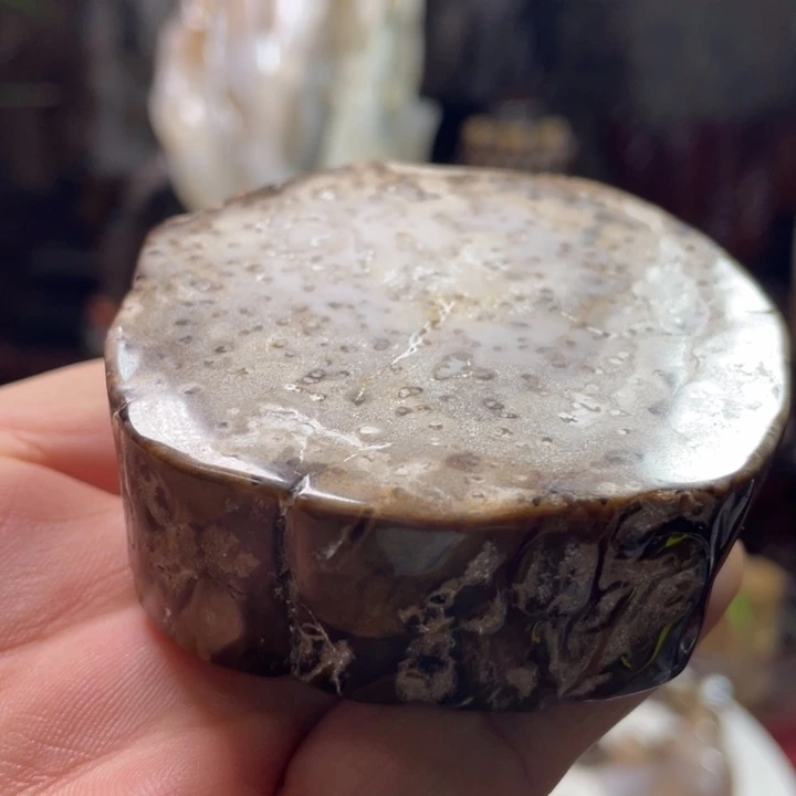 石材家居摆件硅化木