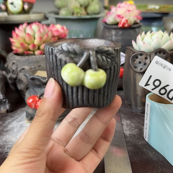 欢迎大家来到直播间