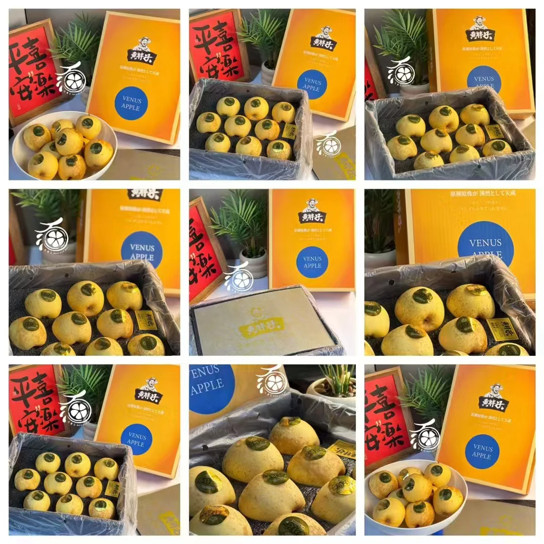 黄胖子维纳斯苹果