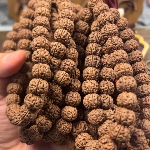 手串金刚菩提老树王手持