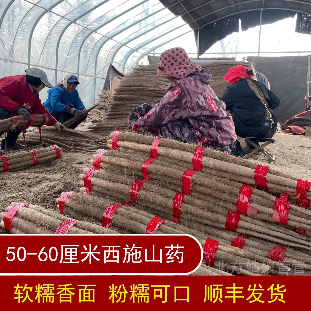 【顺丰发货】河南西施山药（50-60厘米）拔丝软糥香甜面实惠装