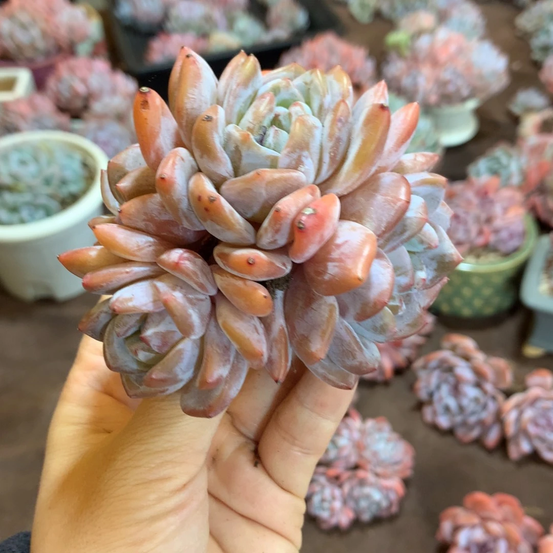 哈哈哈哈哈哈哈哈哈哈哈