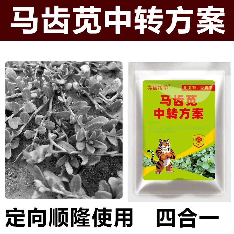 2马齿苋清理顺隆使用强力清理升级版方案马齿菜喷雾有机质肥料