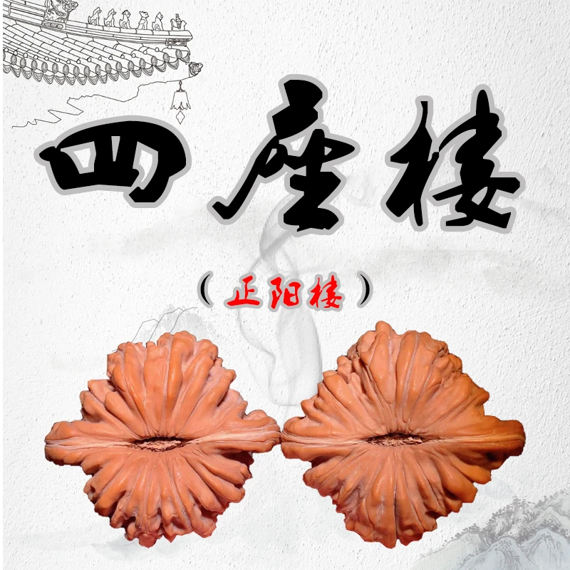 四座楼正阳楼，平谷四座楼老树平谷楼一代母本菊花底美