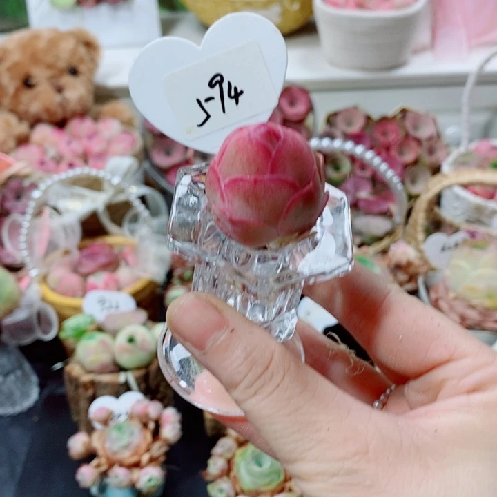 594粉帕优选小桃子带玻璃瓶一套