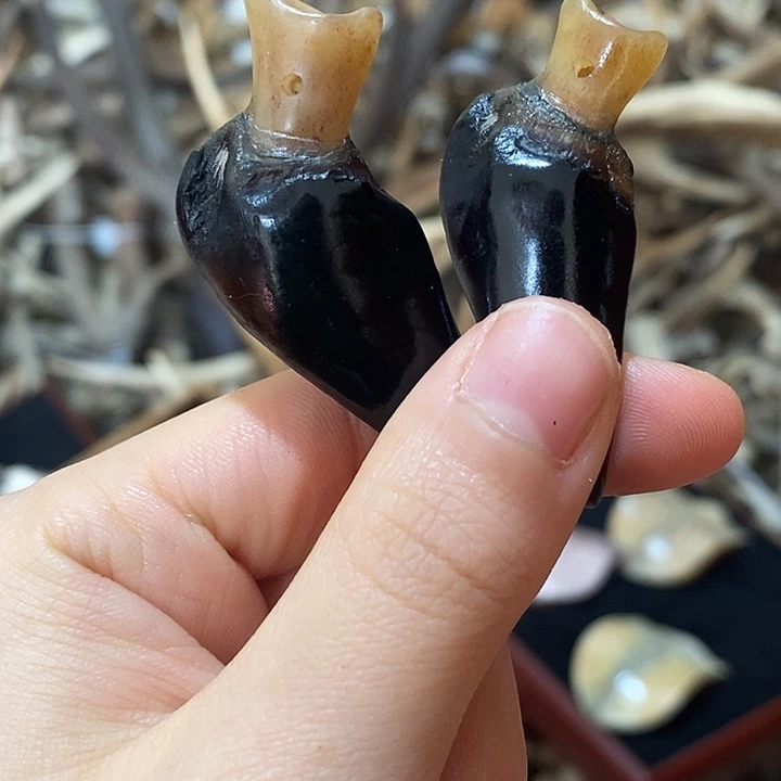 非金属鹿蹄鹿蹄鹿蹄