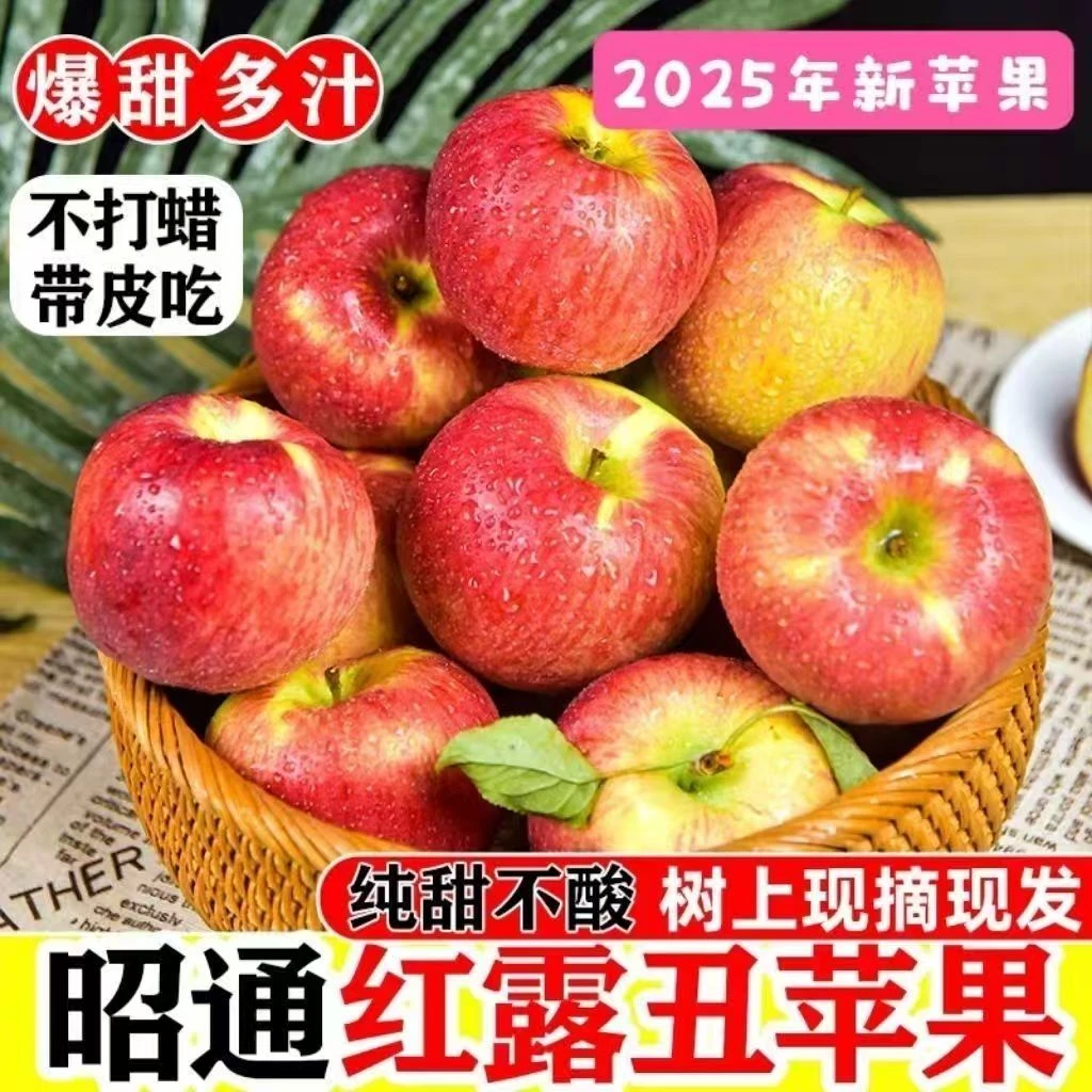 【现摘现发】云南昭通红露冰糖心丑苹果纯甜红露新果脆甜坏果包赔