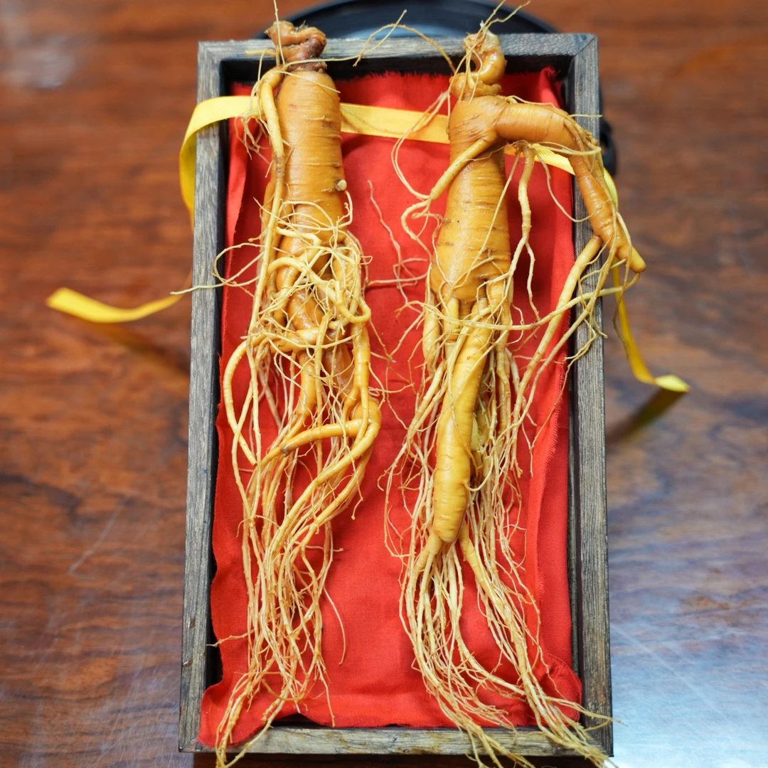 郦勤【主播推荐】精选长白山林下参