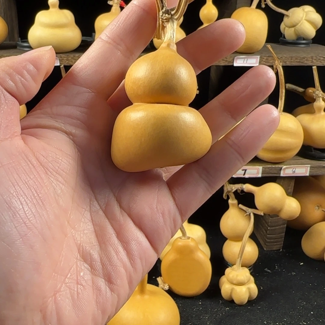 小美钱袋葫芦葫芦葫芦葫芦葫芦葫芦