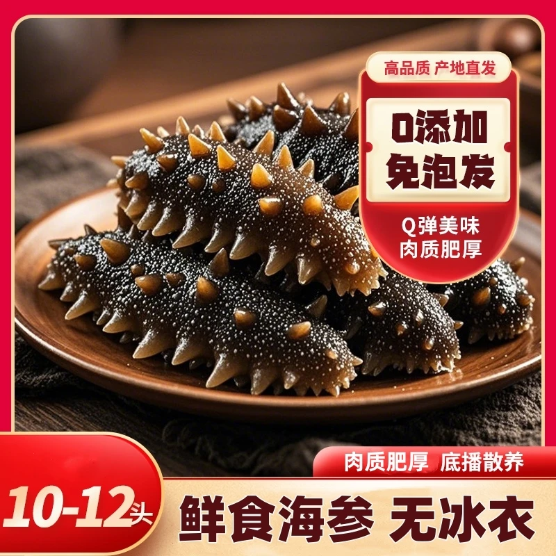 鲜食刺参口感Q弹深海捕捞 （10-12头）开袋即食