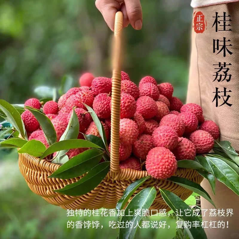 广东正宗桂味荔枝新鲜当季水果核小肉厚产地直发新鲜包邮到家