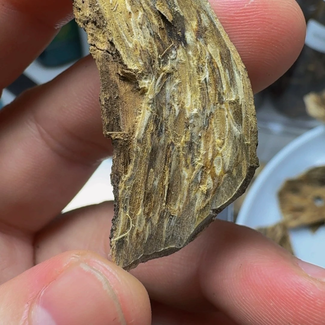 沉香碎屑沉香高州虎斑棋