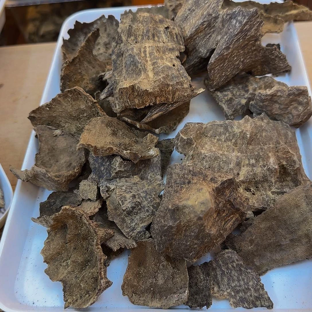沉香碎屑沉香越南芽庄老顶10g