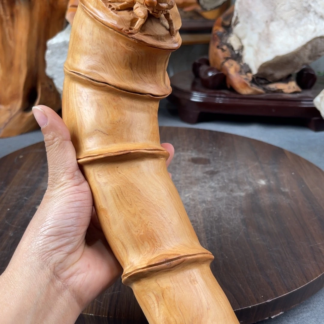 柏木（崖柏）崖柏太行山脉