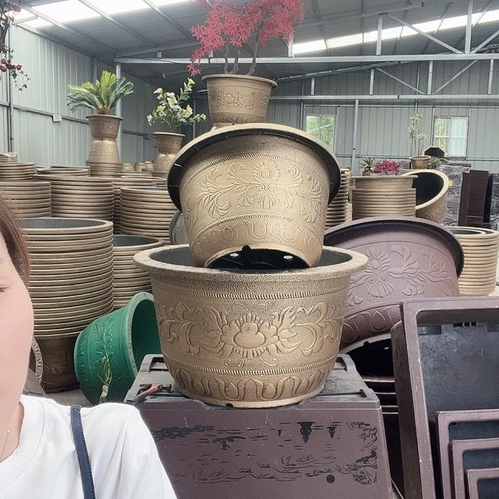 盆景759885688889465897