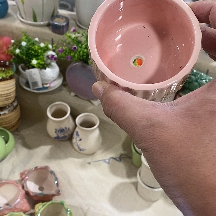 花盆抢购清货马上开始