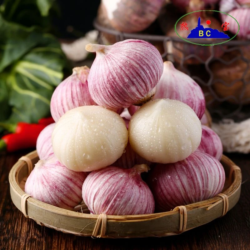 BC/热宝【美乐】新鲜湿蒜紫皮大蒜头独头蒜糖醋腊八蒜蔬菜1/3斤